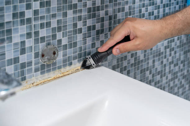 Best Local Mold Removal Service  in Medford, NY